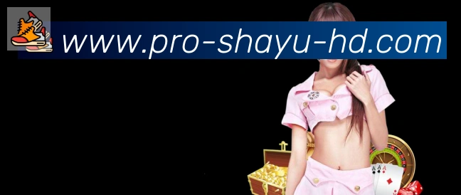 未来规划